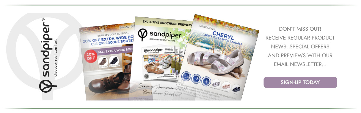 Sandpiper Email Newsletter